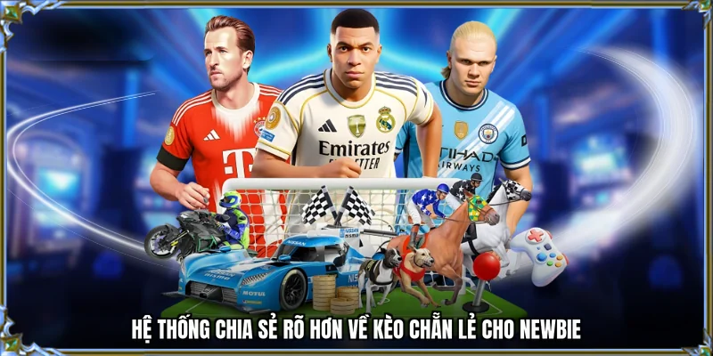 Hệ thống chia sẻ rõ hơn về kèo chẵn lẻ cho newbie