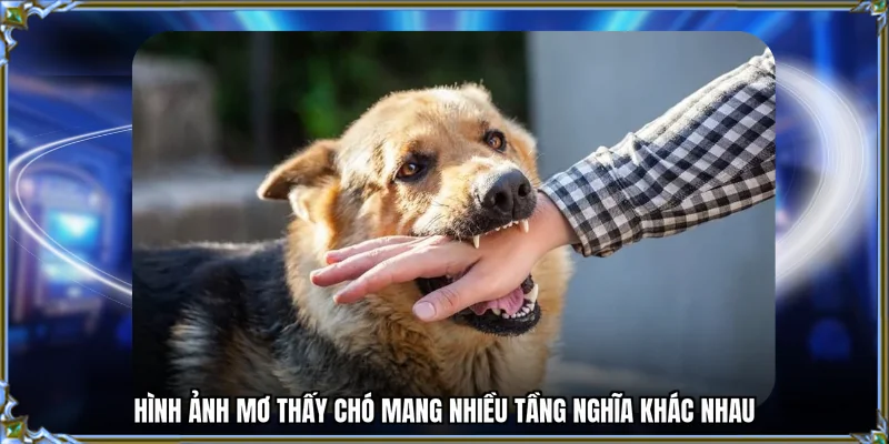 Hình ảnh mơ thấy chó mang nhiều tầng nghĩa khác nhau