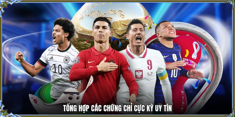 Tổng hợp các chứng chỉ cực kỳ uy tín